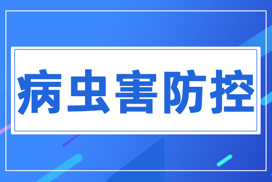 病蟲(chóng)害防控