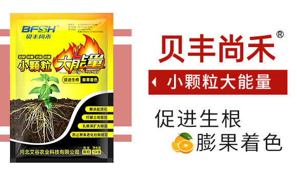 С�w��������-�����r�I(y��)_03