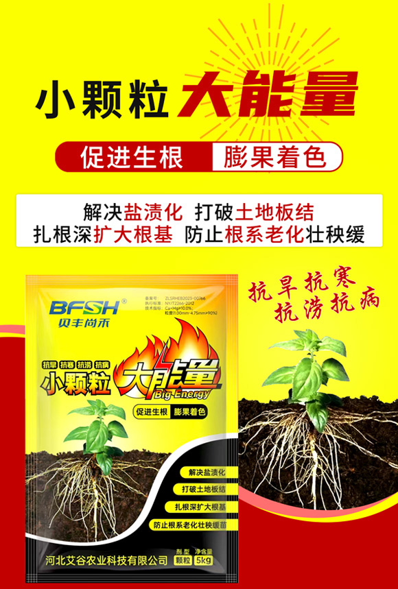 С�w��������-�����r�I(y��)_01