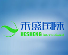 �ӱ���ʢ�������޹�˾