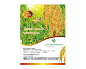 ����ʡ�|���r(n��ng)�I(y��)�Ƽ����޹�˾