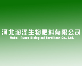 �ӱ���������������޹�˾