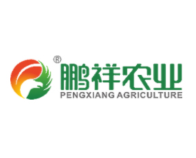 �������i���r�I(y��)�Ƽ��l(f��)չ���޹�˾