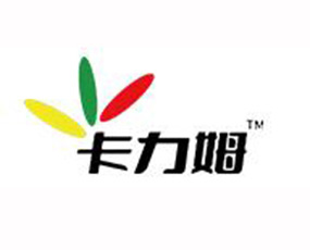 �Ĵ�����ķ����Ƽ����޹�˾