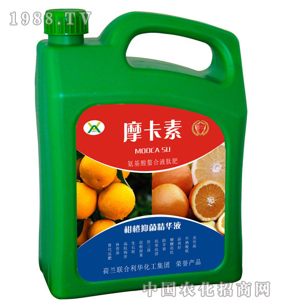 �̳��־����AҺ-Ħ����-��о���H