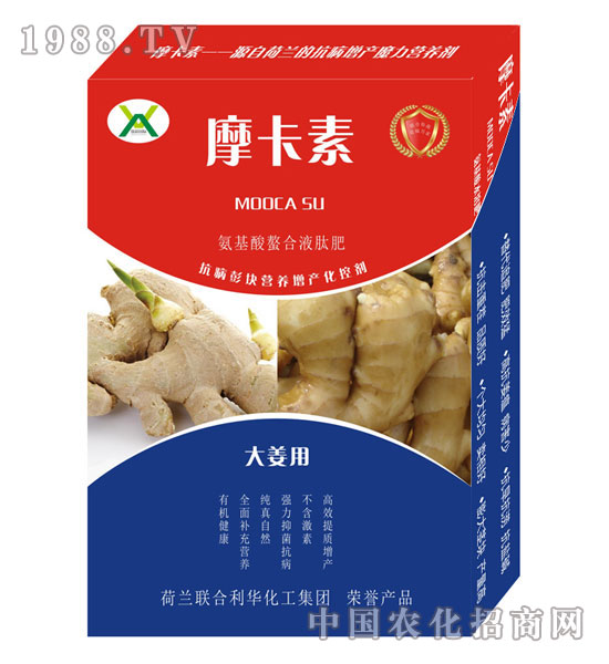 �󽪌��ð���������Һ�ķ�-Ħ����-��о���H