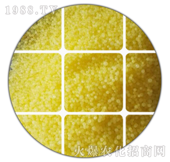 ��������w��-������