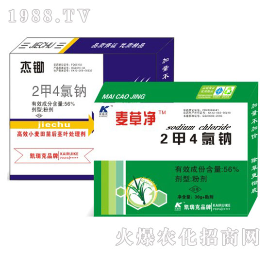 56%2��4���c-���z+���݃�-�P���