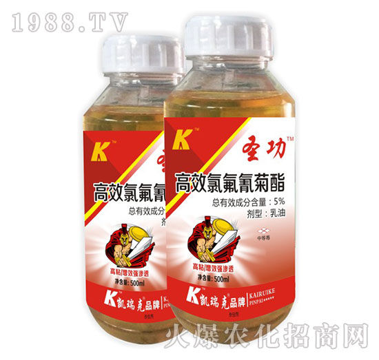 5%��Ч�ȷ������-ʥ��-�P���