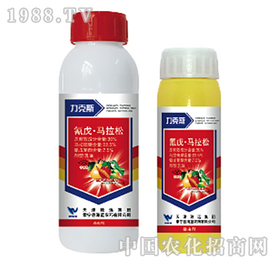 30%�����R����-����˹-���{(l��n)