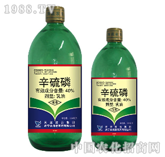 40%������-���{