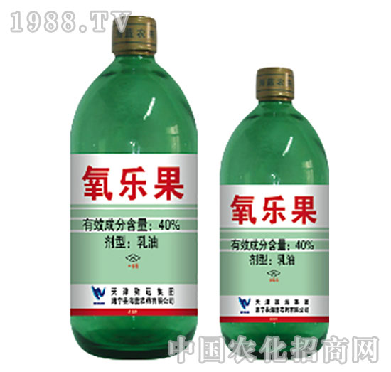 40%������-���{