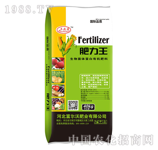 ������w�����ЙC(j��)����40kg-������-������