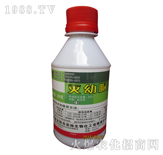 25%������-����