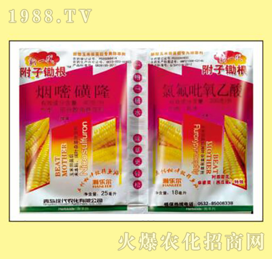 ���׻�¡+�ȷ���������-���ӳ���-嫘�(l��)��