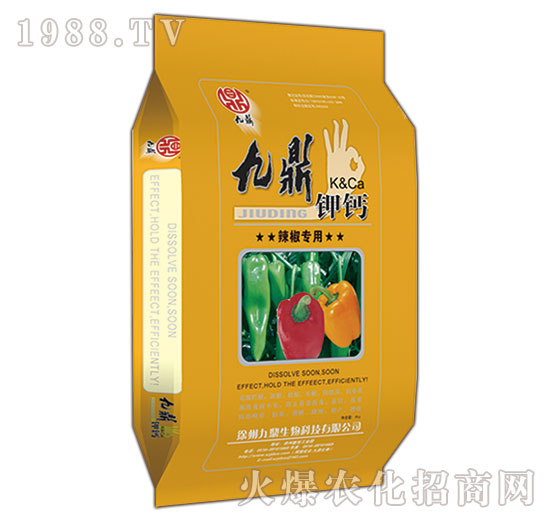 �������þŶ���}-�ذ�Ȫ