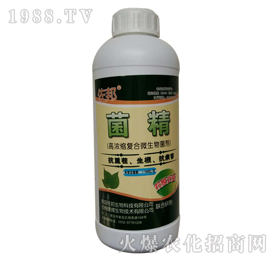 ����-����