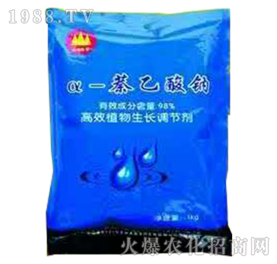 ��-�������c-��ɽ����