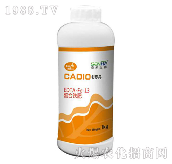 ���_�������F��-ɭ��