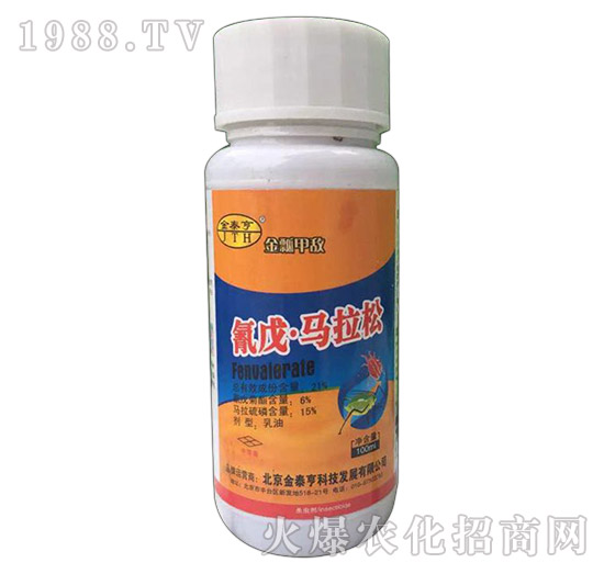 21%�����R����-���h�ה�-��̩��