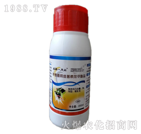 5%�װ������S���ر������}-����һ���e-�Z������