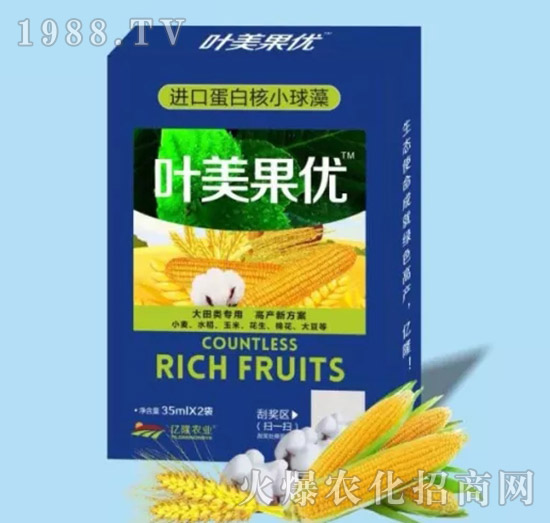 ��������{��(ji��)��-�~������(y��u)-�|¡�r�I(y��)