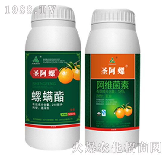 22%���S��������-ʥ����-�hҊ�r�I(y��)