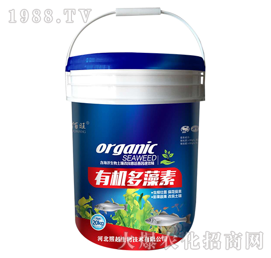 �ЙC������-������-��Խ����