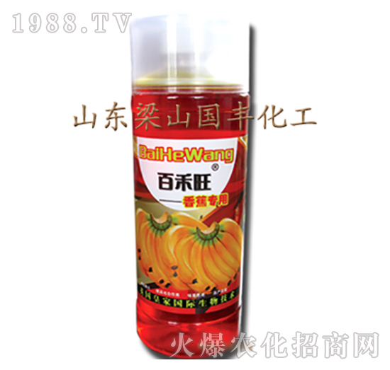 �㽶�����~���-��ɽ��(gu��)�S