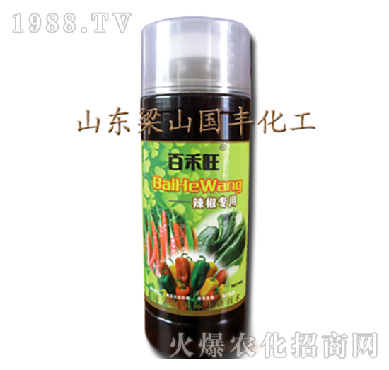 ���������~���-��ɽ���S