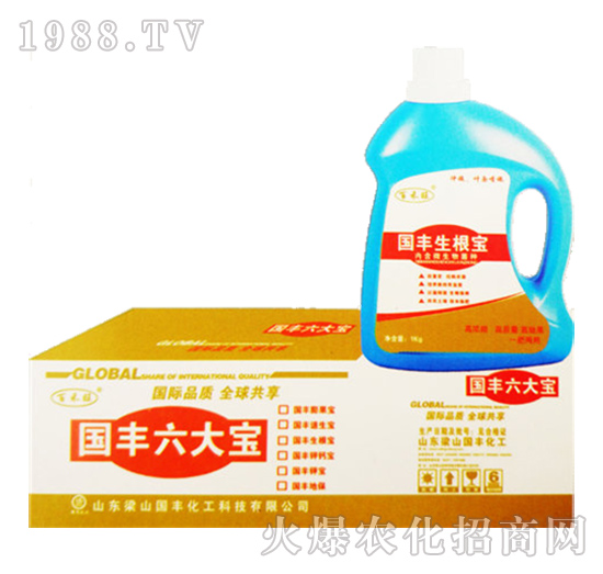 ���S������-��ɽ���S