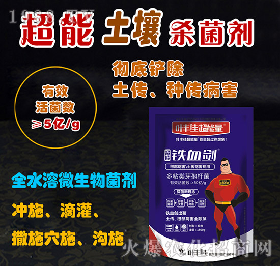 ����������������������-�FѪ��-�~�S�ѳ�����