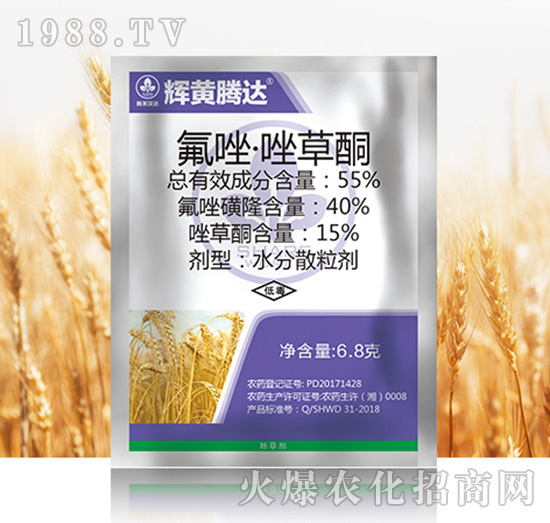 55%�������ͪ-�x�S�v�_(d��)-�к����_(d��)