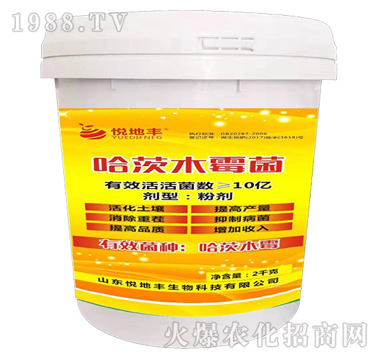 ����ľù��-�����S