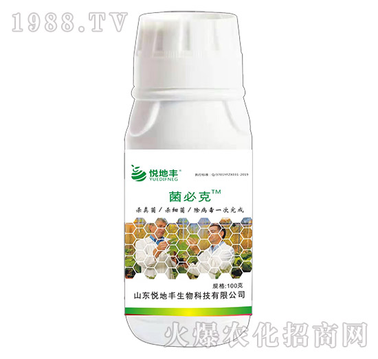 ���ؿ�-�����S