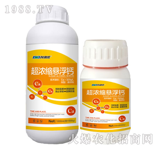 ����s�Ҹ��}-�����r