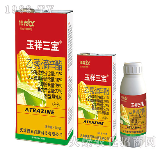 71%�ҡ�ݬ��������-��������-���˰ل�