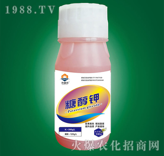 �Ǵ��-�W�ʩ