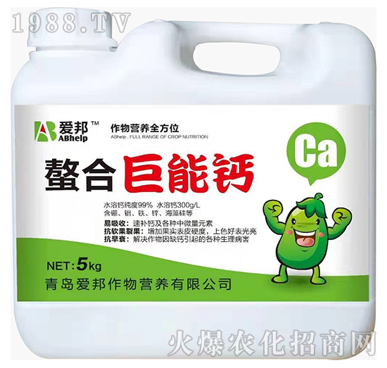 ����I(y��ng)�B(y��ng)ȫ��λ-���Ͼ����}-��(��i)��