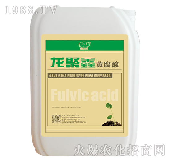 �������S����-���v�ʘI(y��)