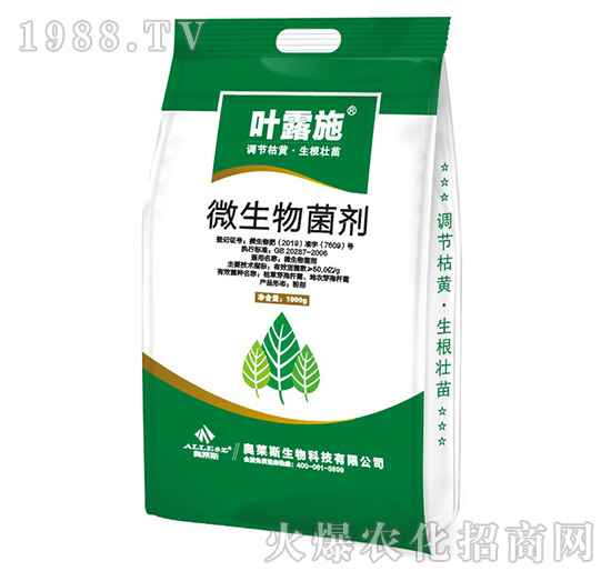 ΢�������-�~¶ʩ-�W�R˹