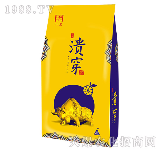 ����-һ�t����