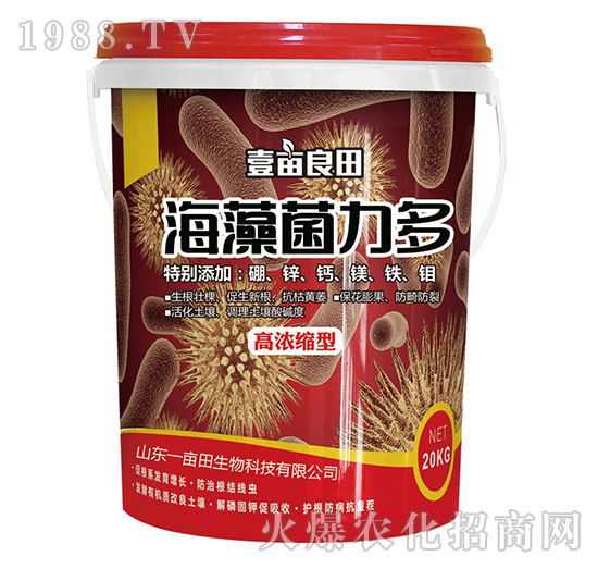 ���������-Ҽ������