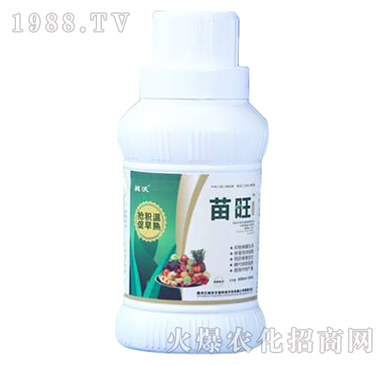 �V�Vͨ���~���-����-��������