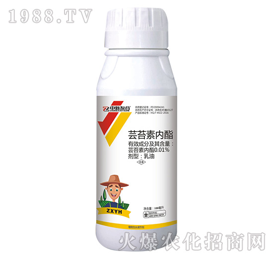 �|̦�؃���-�����Ѻ�