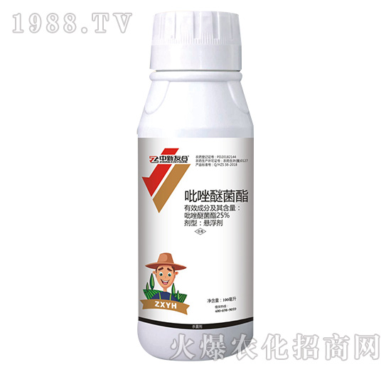 25%�����Ѿ���-�����Ѻ�