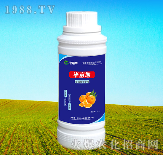 ���ٳ��ӌ����~���-�뮀��