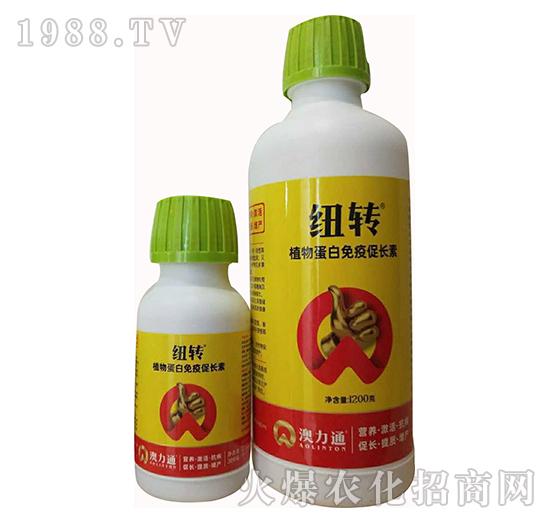 ֲ�ﵰ�����ߴ��L��-�~�D-����ͨ