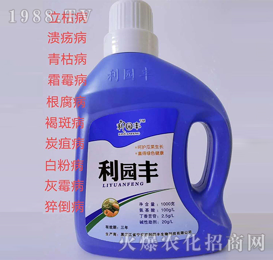 �ϲˌ���-���@�S