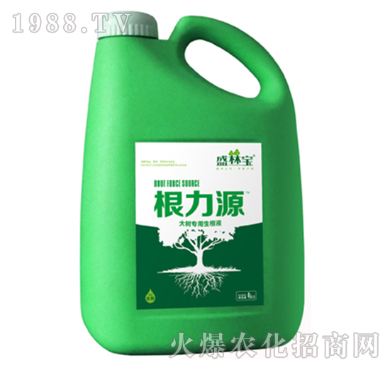 ����Դ��4���-�r��������